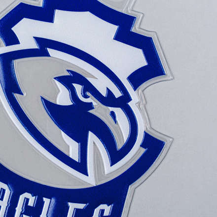 FlexStyle Flat Clear eagles emblem close up