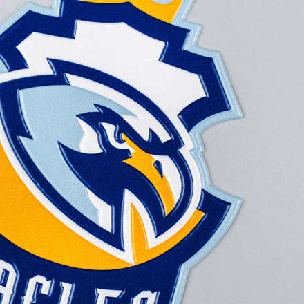 FlexStyle Flat Non-Metallic eagles emblem close up