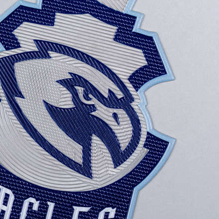 FlexStyle Textured Clear eagles emblem close up